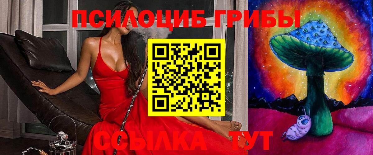Псилоцибиновые грибы Psilocybe  Псилоцибиновые грибы GOLDEN TEACHER  Касимов  сколько стоит  Вход с VPN 